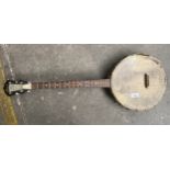 Cort Banjo