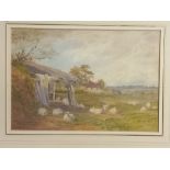 Robert A.K Marshall (1849-1923) Watercolour depicting landscape with sheep grazing near a farm,