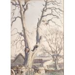 Watercolour depicting rural tree scene, unsigned. [50x38cm]