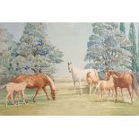 Dr. W.Frame Flint Watercolour titled 'Mares and Foals' within a wooden frame, signed.