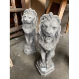 A Large Pair of Garden concrete garden lion sculptures.