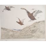 Veron Stokes Original coloured etching 'Grouse' 50/75. [Frame 47x47cm]