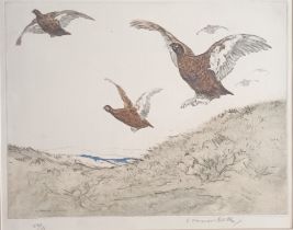 Veron Stokes Original coloured etching 'Grouse' 50/75. [Frame 47x47cm]