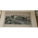 Antique Highland cow engraving print fitted with a gilt frame