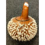 An African Shekere Gourd Rattle with small cowrie type shells to the net covering