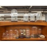 Shelf of plastic and glass protective domes