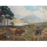 F. Middleton Antique oil on canvas depicting Highland cows grazing in a scenic landscape within a