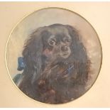 19th Century oil on board depicting a dog, signed by the artist. [Frame 31x31cm]