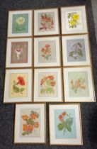 Lot of eleven very fine watercolour paintings of exotic African flowers, by Jane Dempster [1977] [