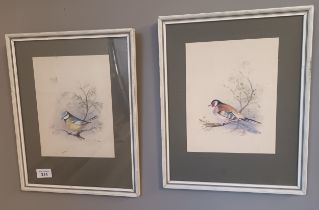 Jessie Claydon A pair of watercolours depicting birds titles ' Blue Tit' and 'Gold Finch', both