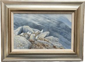 Alistair Proud Original oil painting titled 'Ptarmigan' Fitted within a contemporary frame. Signed