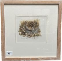 Rodger McPhail Original watercolour depicting a Snipe Bird. Fitted within a white wash