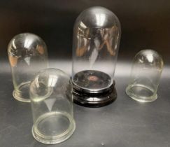 A collection of antique glass domes [29cm]