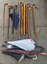 A large collection of various walking sticks & umbrella's; shepherds crook style walking stick and