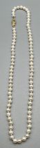 Cultured pearl single strand necklace necklace fitted with a 14ct yellow gold clasp and catch. [23cm