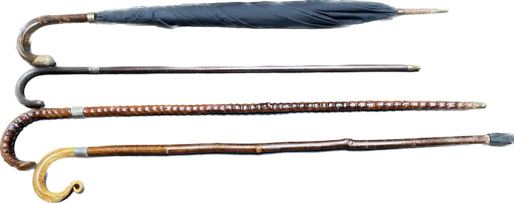 A collection of antique walking sticks to include silver collard walking sticks along with 18ct gold - Image 2 of 4
