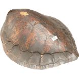 A 19th century large turtle shell [65x55cm]