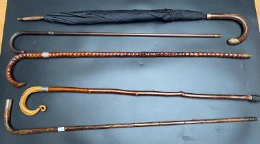 A collection of antique walking sticks to include silver collard walking sticks along with 18ct gold