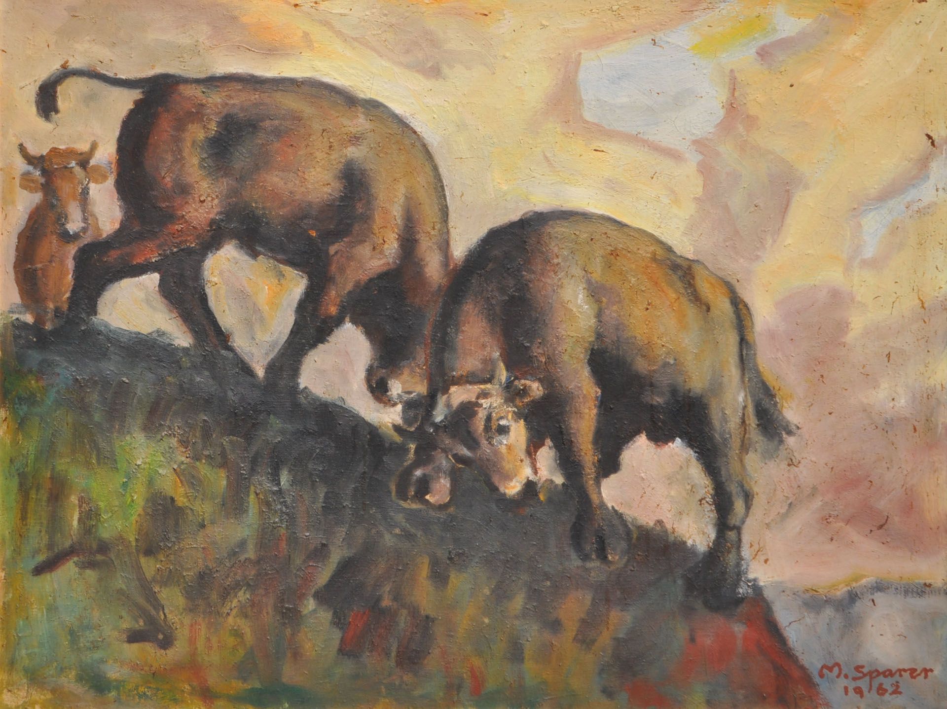 Max Sparer - Kämpfende Kühe, 1962