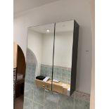 Display mirrored bathroom cabinet