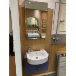 Display Cloakroom sink on floating pedestal & mirror