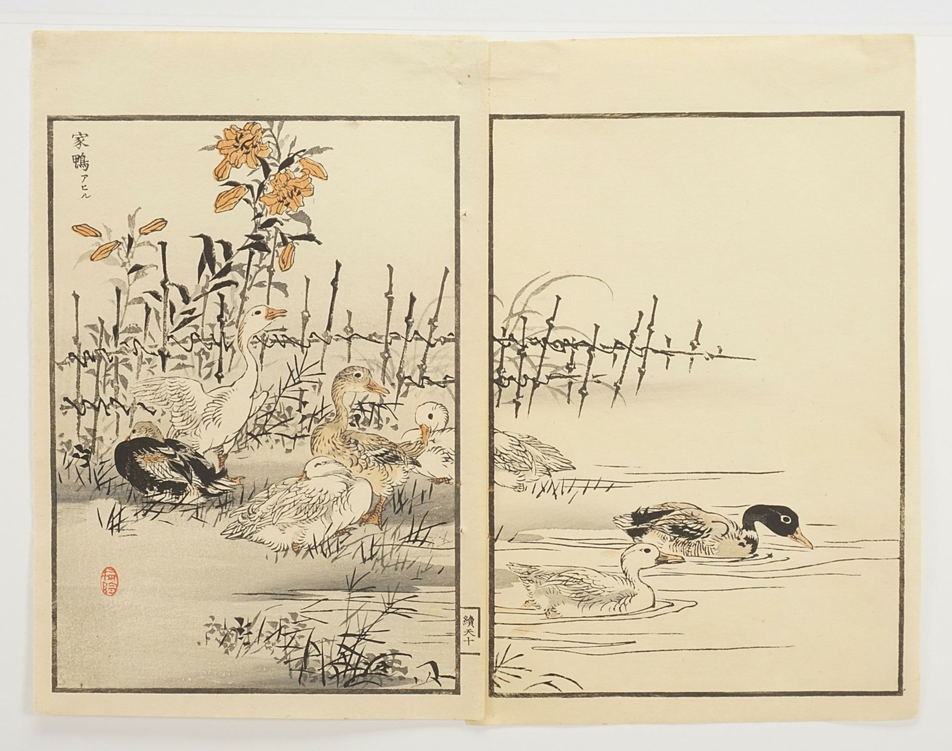 Kono Bairei (1844-1895), Group of ducks by the water - Image 3 of 3