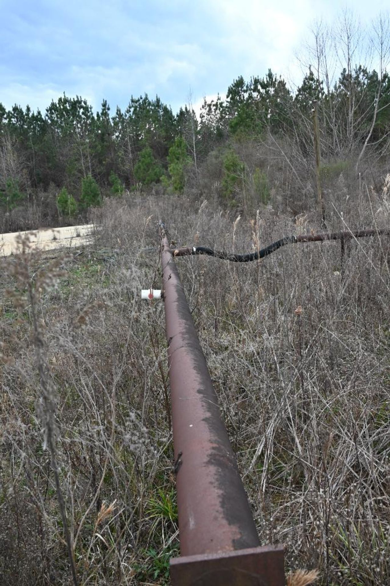 Sprinkler System for Log Yard - Image 17 of 21