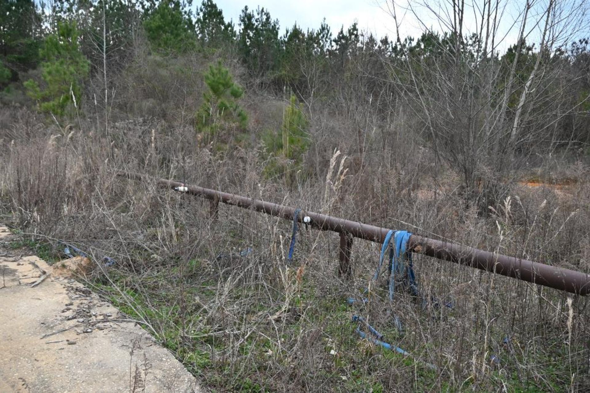 Sprinkler System for Log Yard - Image 20 of 21