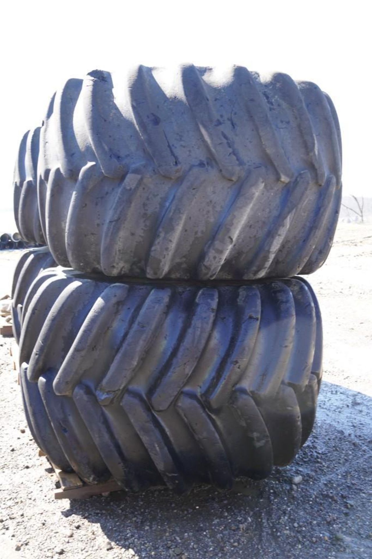 Skidder Tires - Image 3 of 19
