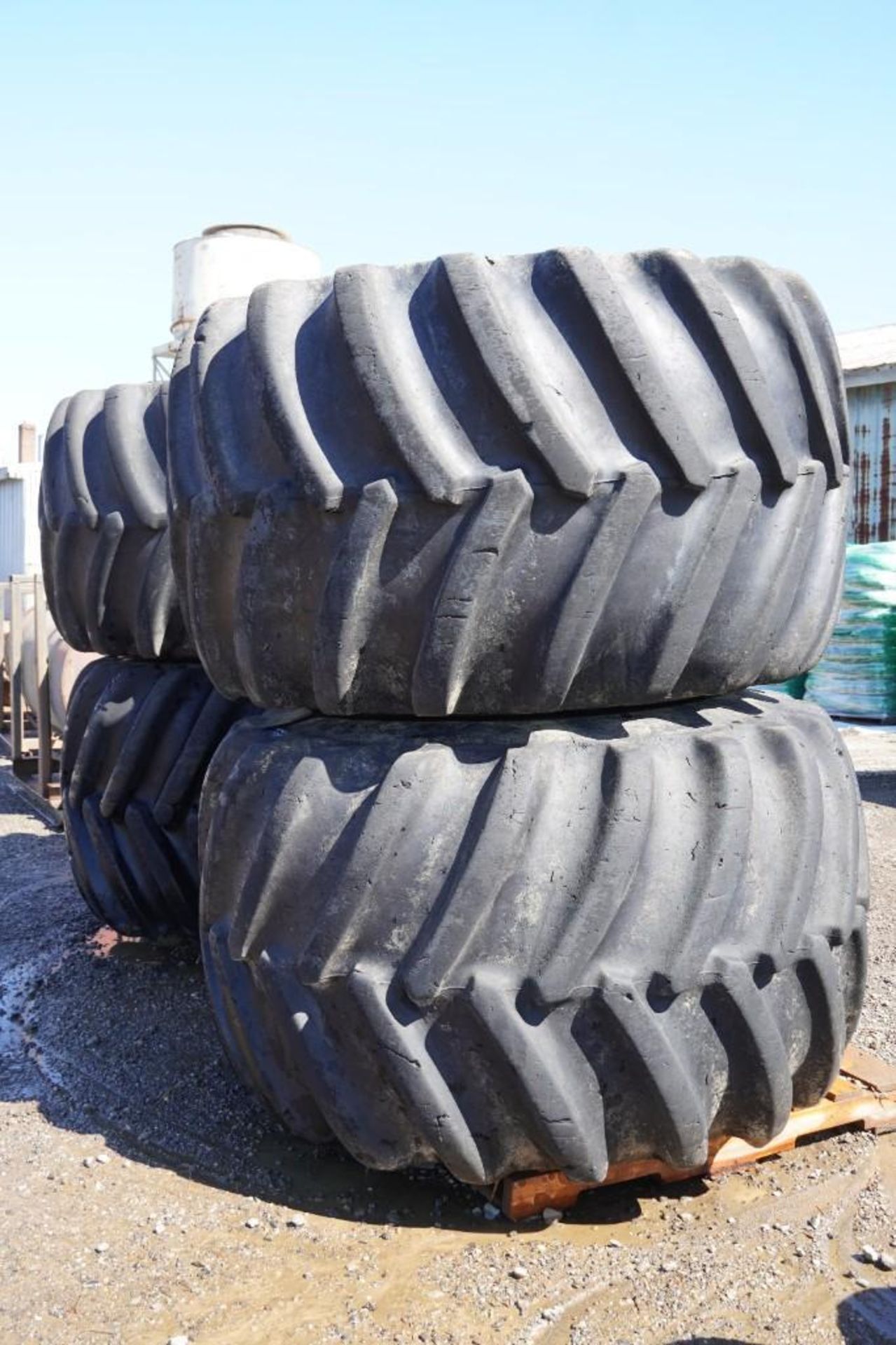 Skidder Tires - Image 5 of 19