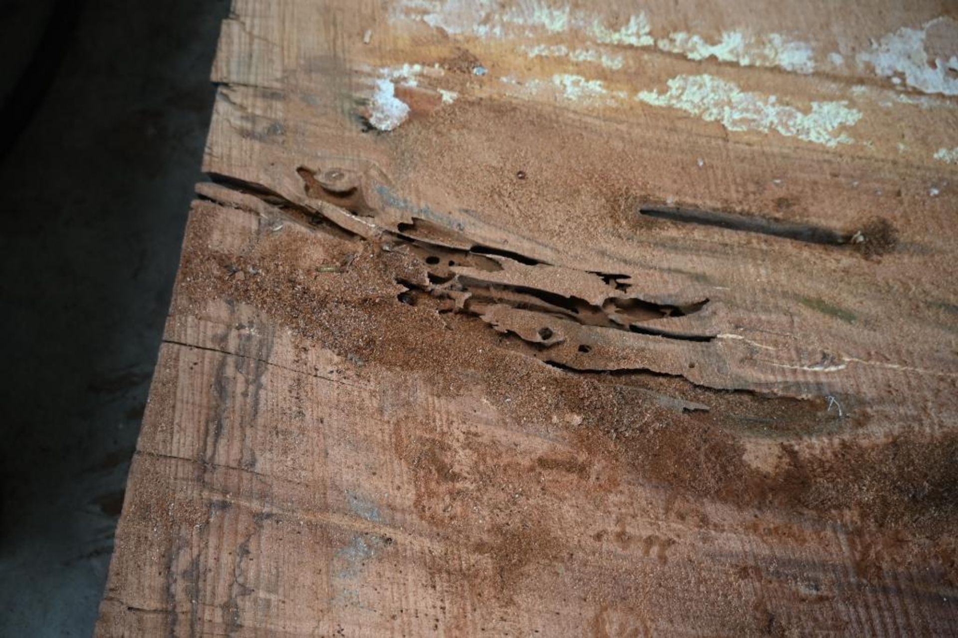 Rough Cut Cherry Table Top Slab - Image 6 of 6