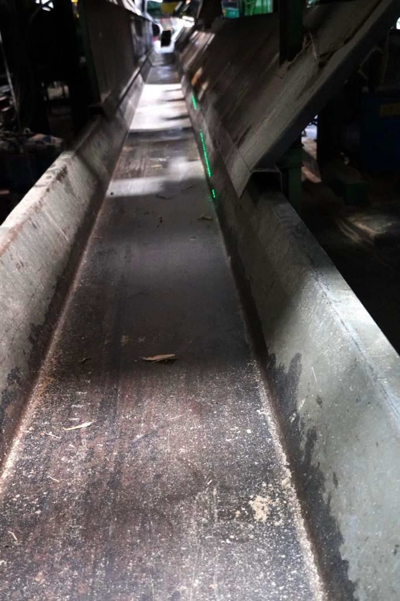 Webster Vibrating Conveyor