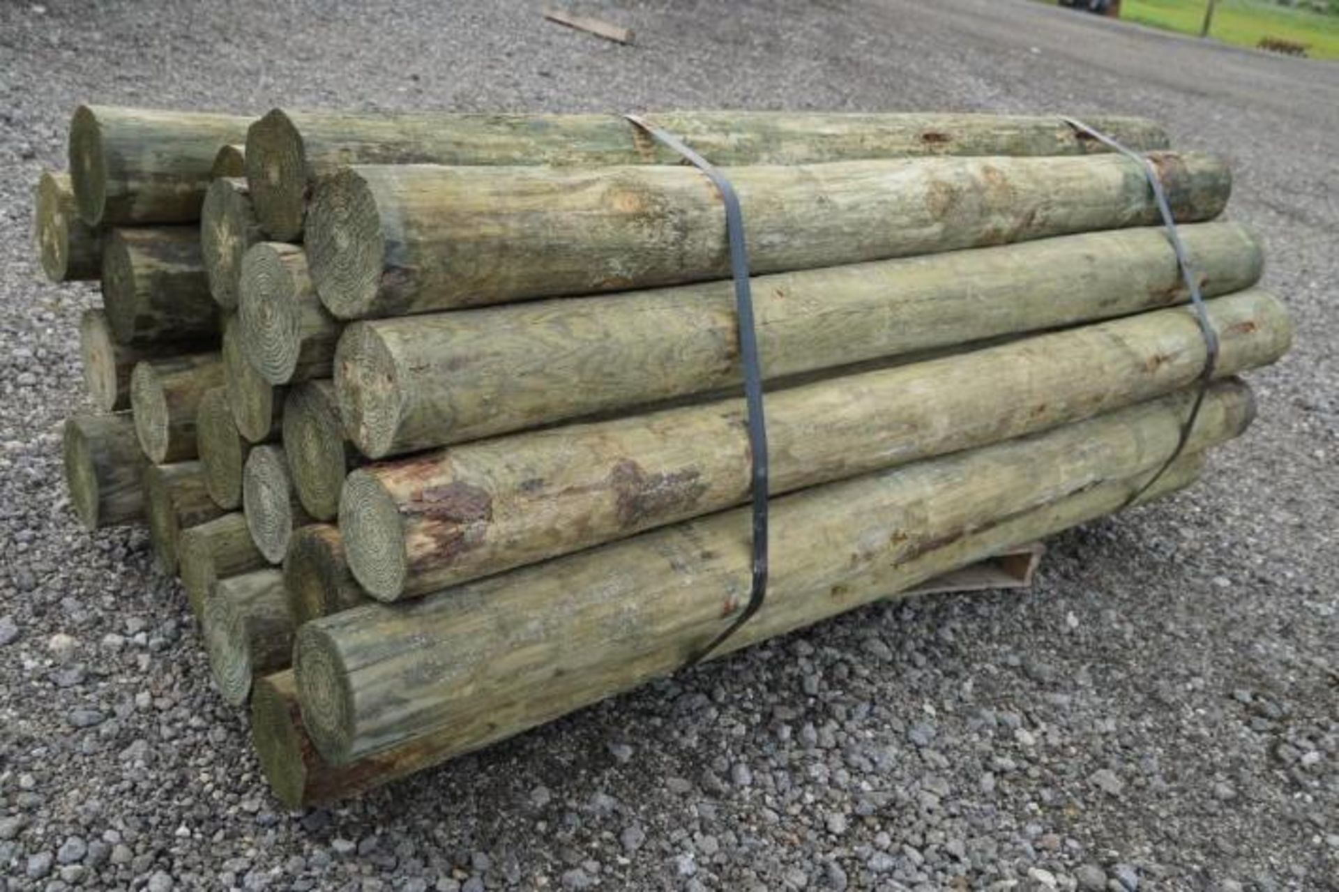 Southern Yellow Pine Fence Posts - Image 3 of 3
