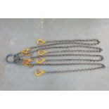 Four Leg Lifting Chain With Hooks & Shorteners.
