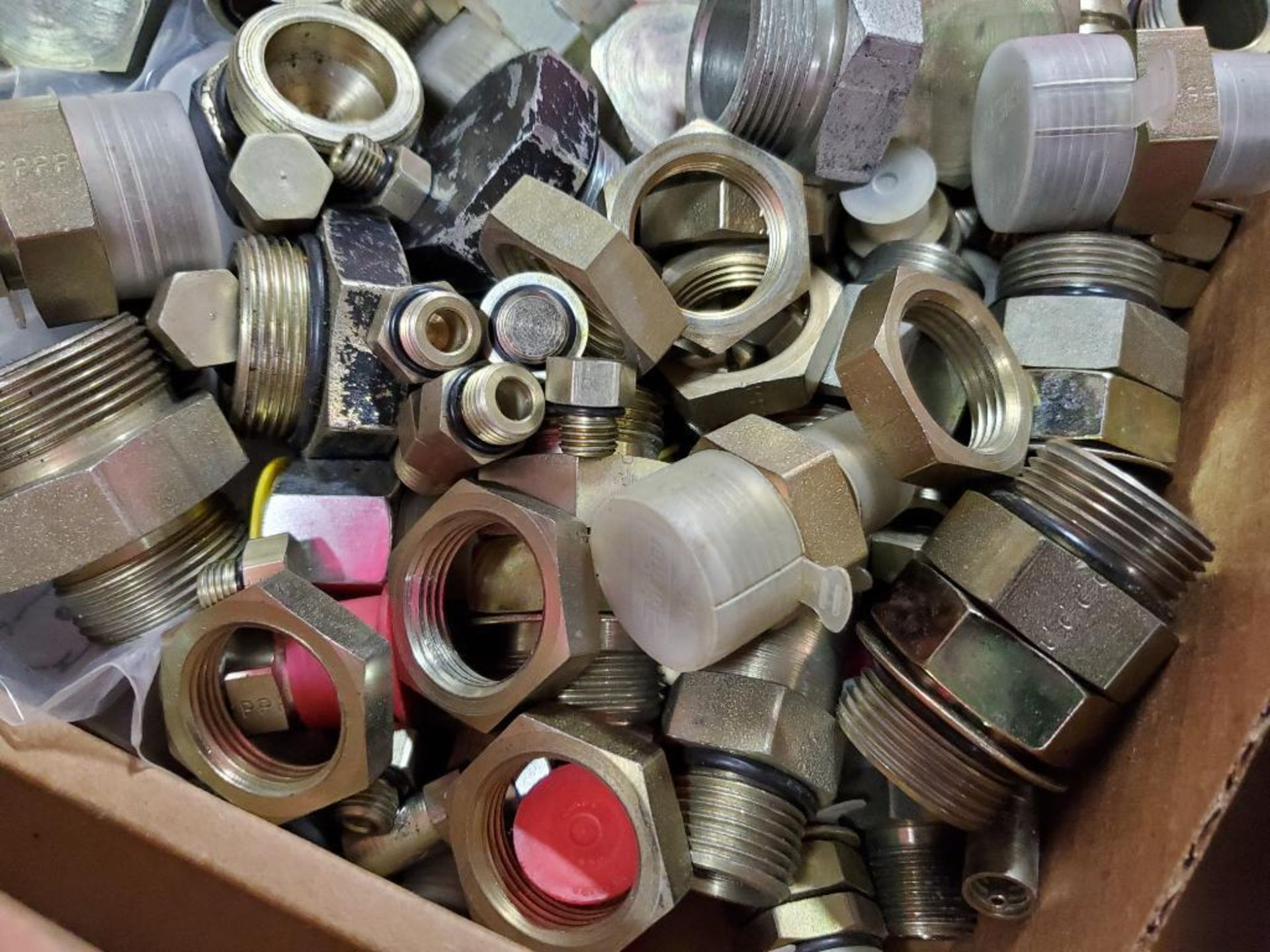 Assorted straight fittings. Parker. - Image 2 of 6