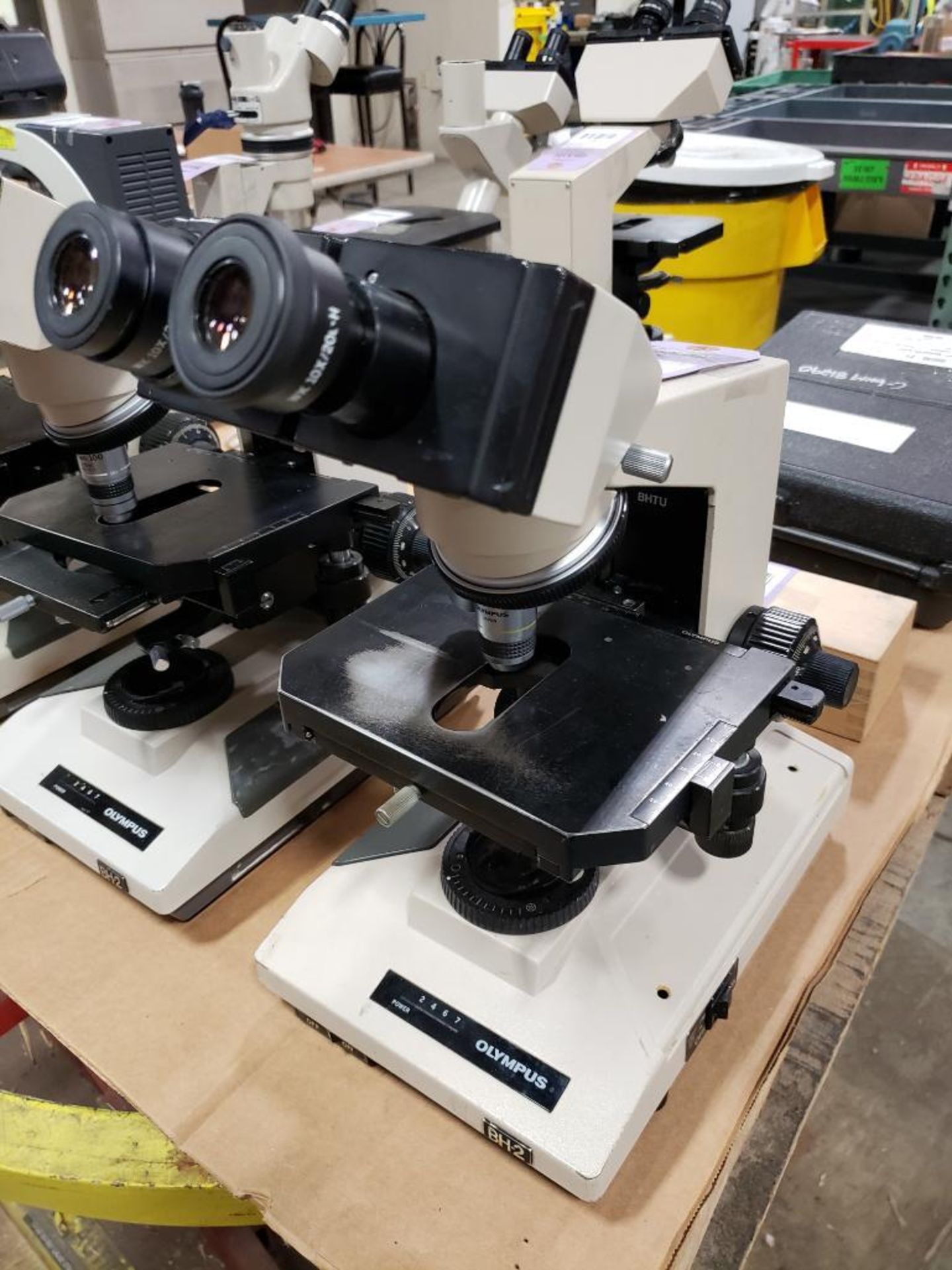 Olympus BH-2 microscope.