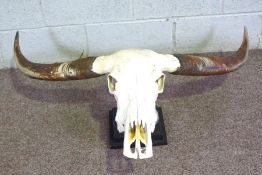 An Indian Wild Ox skull and horns with stand, 108cm wide