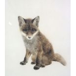 Kurt Meyer-Eberhardt, German,  (1895-1977), Fox Cub; Young Foal, two signed coloured etchings,
