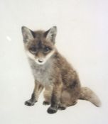 Kurt Meyer-Eberhardt, German,  (1895-1977), Fox Cub; Young Foal, two signed coloured etchings,
