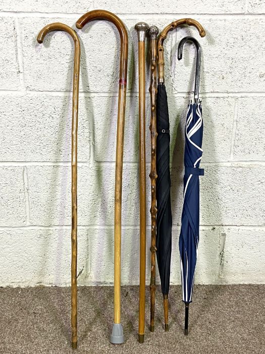 A group of assorted canes and umbrellas, including two silver topped canes