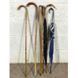 A group of assorted canes and umbrellas, including two silver topped canes