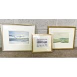 A group of assorted decorative pictures and prints, including ‘Selkirkshire’ and hand coloured