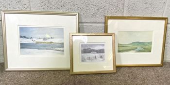 A group of assorted decorative pictures and prints, including ‘Selkirkshire’ and hand coloured