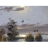 Gerard Brouwer, XX, Flighting Ducks, oil on canvas, signed LR: G Brouwer, 38cm x 49cm