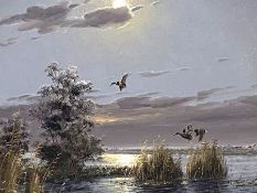 Gerard Brouwer, XX, Flighting Ducks, oil on canvas, signed LR: G Brouwer, 38cm x 49cm