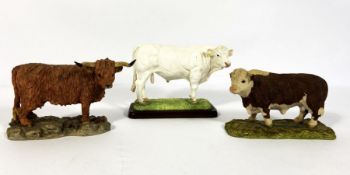 Three painted resin figures of a Highland cow, a Charolais bull and Hereford Bull, Arista Designs of