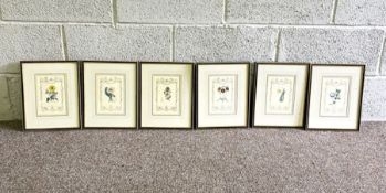 A set of six Botanical flower prints, after Maunds Botanic Garden, each flower within a decorative