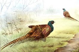A porcelain plaque, decorated with two cock pheasants, attributed to E.R. Booth (formerly a