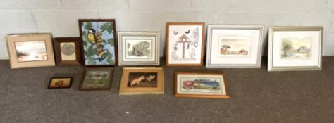 A selection of assorted pictures, including blue tits, a fox, assorted small landscapes etc. (11)