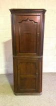 A George III oak full height corner cabinet, late 18th century, with dentil cornice over an arch